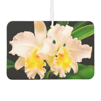 Ambientador Zarte Orchideen