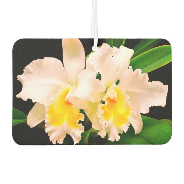 Ambientador Zarte Orchideen (Anverso)