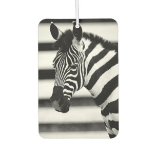 Ambientador Zebra