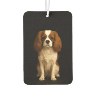 Ambientadores de coche Black 4 Luxe Cavalier Spani