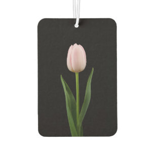 Ambientadores de coche Black 4 Luxe Tulipán Rosa P