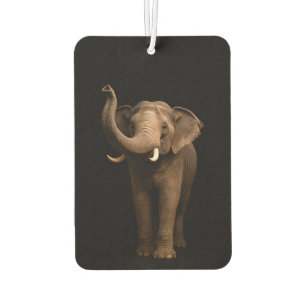 Ambientadores para coche Black 4 Luxe, Elefante Po