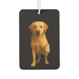 Ambientadores para coche Black 4 Luxe, Labrador ti