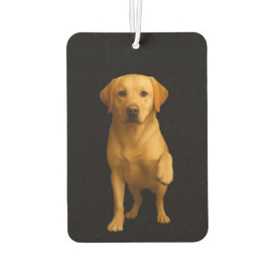 Ambientadores para coche Black 4 Luxe, Labrador ti