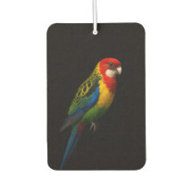 Ambientadores para coche Black 4 Luxe, Rosella Ori