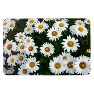 Ámbito del imán flexible de Daisies