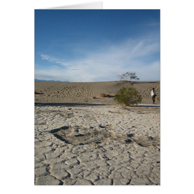 Ámbitos secos (Frente)