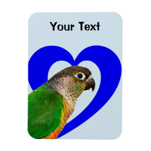 Ame este imán de Conure