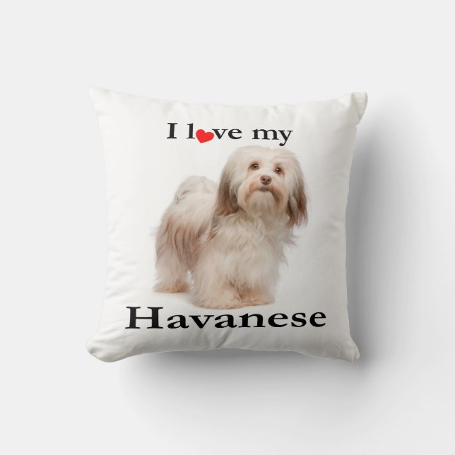 Ame mi almohada de Havanese (Anverso)