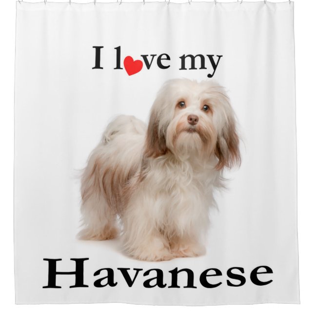 Ame mi cortina de ducha de Havanese (Anverso)