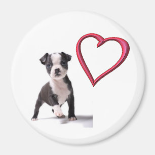 Ame mi imán del perro de perrito de Boston
