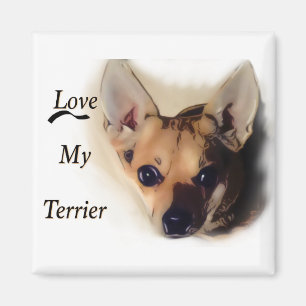 Ame mi imán del terrier