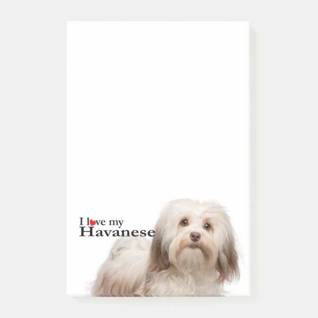 Ame mis notas de post-it de Havanese (Anverso)