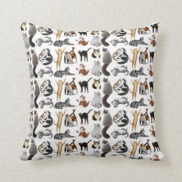 Ame toda la almohada de los gatos del gatito