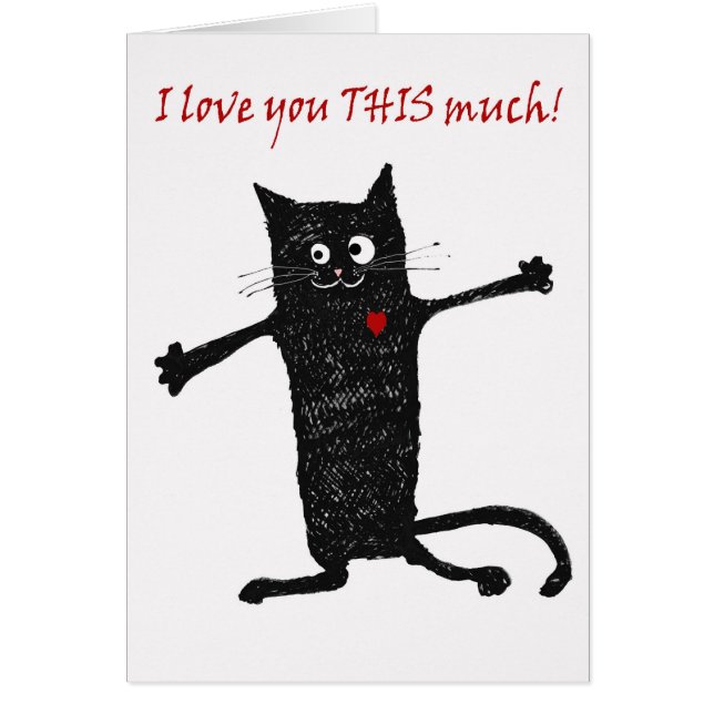 Ámele, gato loco, humor (Frente)