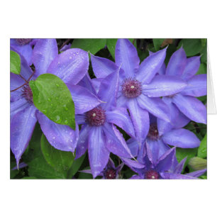 Ámeme azul - serie de TBD