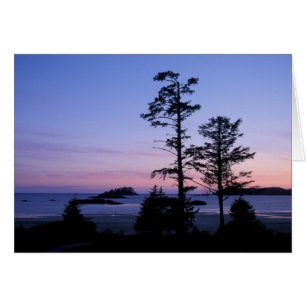 América del Norte, Canadá, isla de Vancouver, árbo