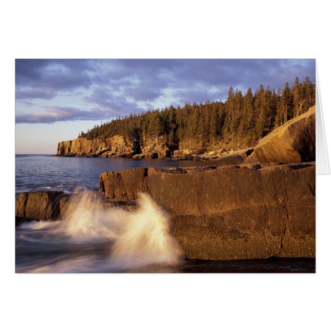 América del Norte, EE.UU., EE.UU., la costa rocosa (Anverso (Horizontal))