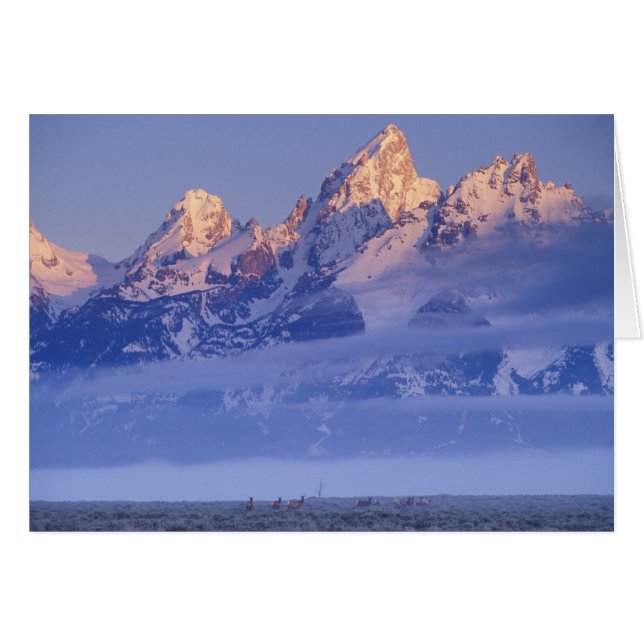América del Norte, Estados Unidos, Wyoming, Gran T (Anverso (Horizontal))