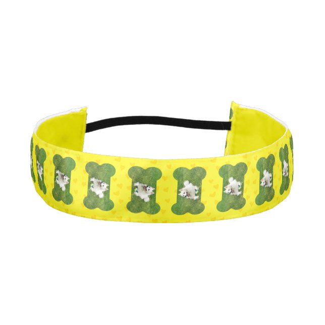 American Eskimo 1.5" - Banda de cabeza (Anverso)