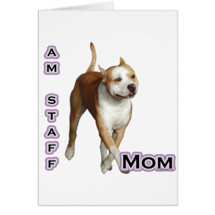 American Staffordshire Mom 4
