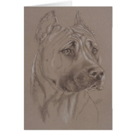 American Staffordshire Terrier