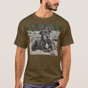 American Staffordshire Terrier - Camisetas