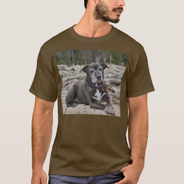 American Staffordshire Terrier - Camisetas (Anverso)
