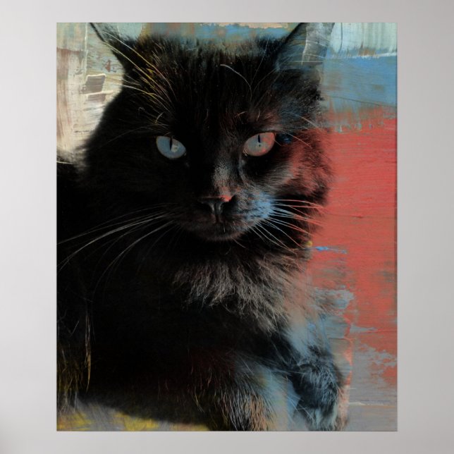 Americana Black Cat, Poster de arte popular (Frente)