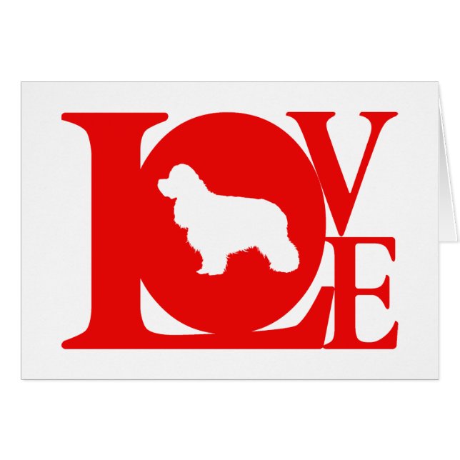 Americano cocker spaniel (Anverso (Horizontal))