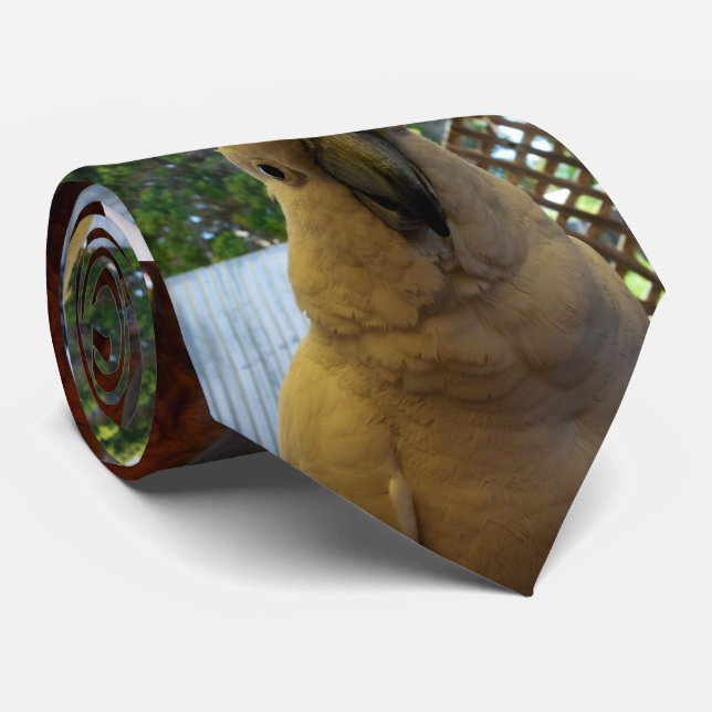 Amigable Cockatoo blanco australiano, corbata de c (Enrollado)