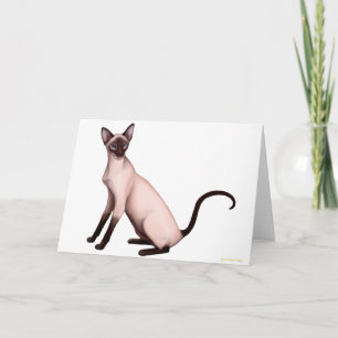 Amigable tarjeta para gatos siameses jóvenes