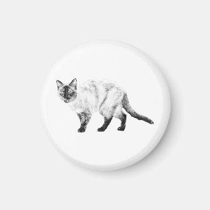 Amigo de nevera, imán de gato sombreado