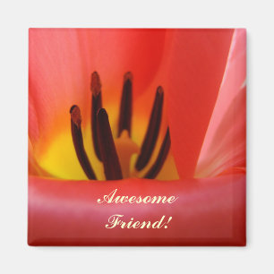 ¡Amigo Increíble! imán Flor Tulipán Rojo