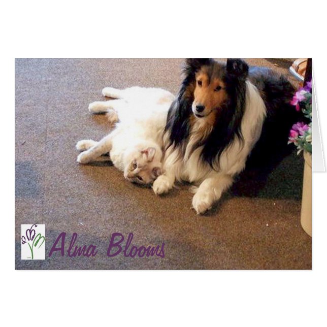 Amigos (Anverso (Horizontal))