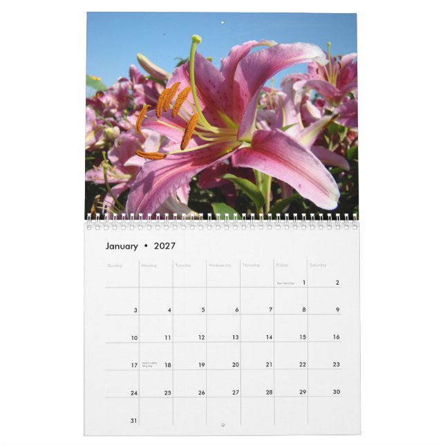 ¡AMIGOS! Calendario Lirios Flores Regalos de Navid (Jan 2027)