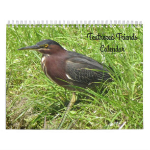 Amigos de Feathered - Calendario de aves