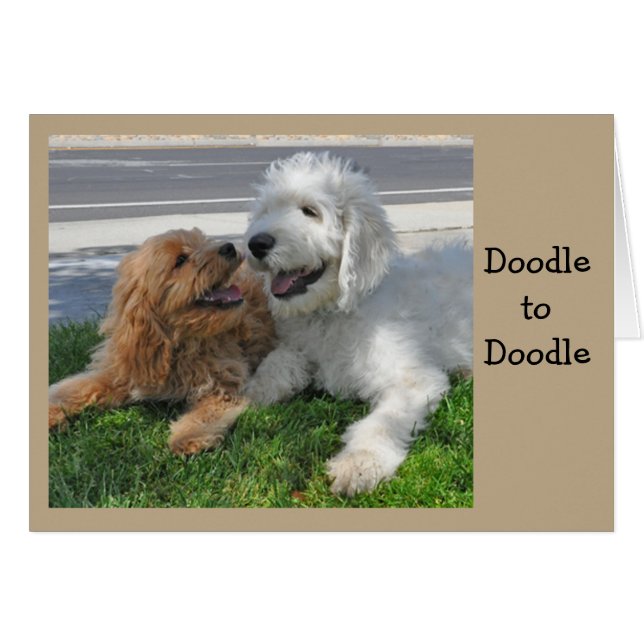 Amigos de Goldendoodle (Anverso (Horizontal))