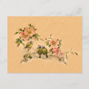 Amigos de la época- Floral y pájaros- Postales