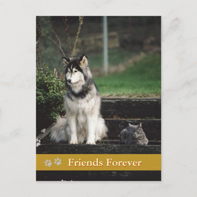 Amigos para siempre - tarjeta postal para perros y (Anverso)