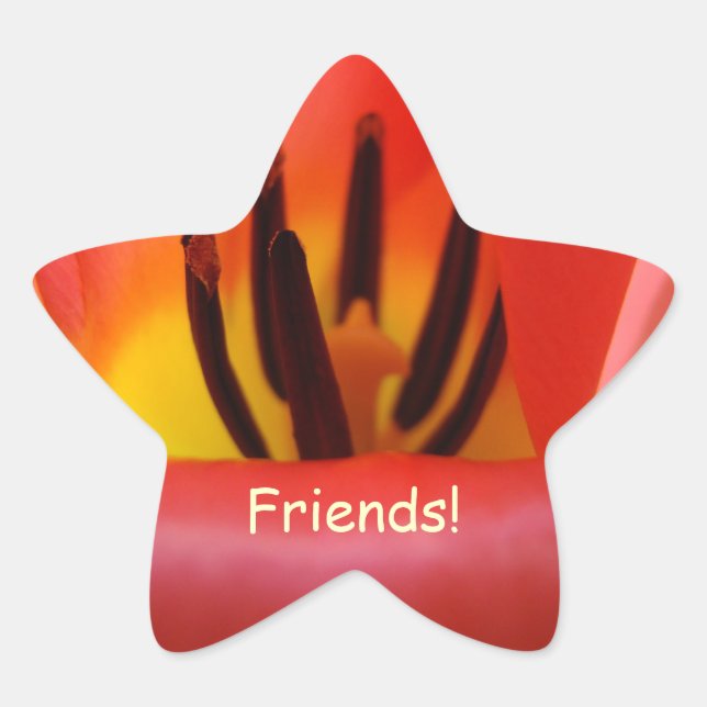 ¡Amigos! Pegatinas en forma de estrella Tarjetas S (Anverso)