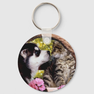 Amigos perro y llavero del gato