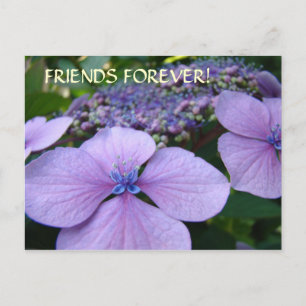 ¡AMIGOS POR SIEMPRE! Tarjetas Postales Flores de H