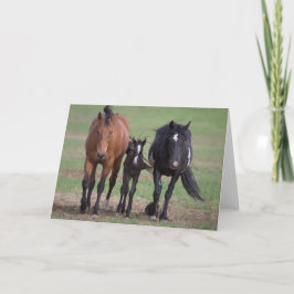 Amigos - Tarjeta de felicitación Galloping para la