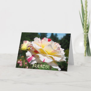 ¡AMIGOS! TARJETAS DE NAVIDAD ROSA Tarjeta de cumpl
