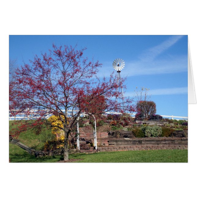 Amish Autumn Garden (Anverso (Horizontal))