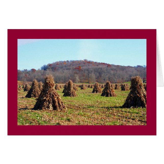 Amish Fields (Anverso (Horizontal))