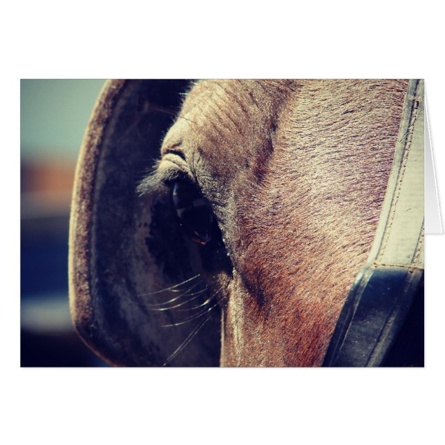 Amish Horse (Anverso (Horizontal))