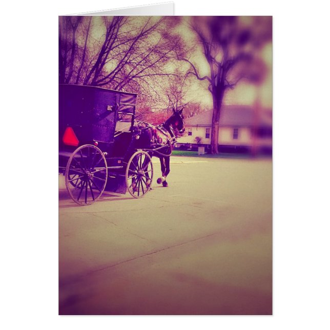 Amish Horse and Buggy (Frente)