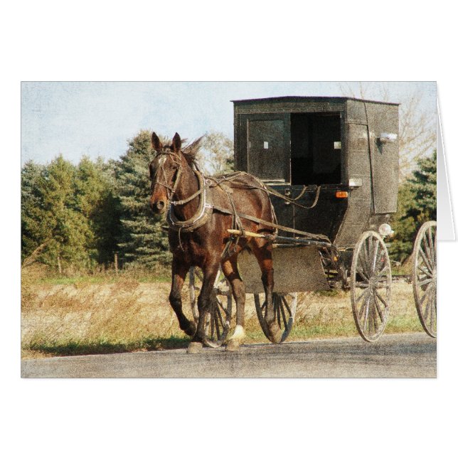 Amish Horse and Buggy (Anverso (Horizontal))